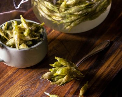 Fermentierte Bärlauchknospen – Ein würziger Kapern-Genuss