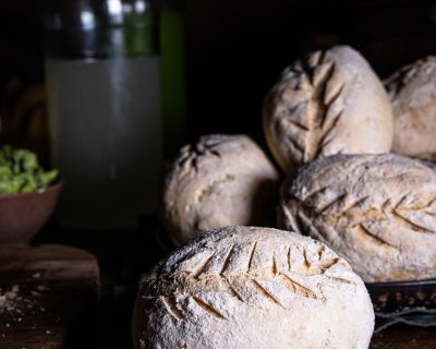 Kefir-Dinkel-Brötchen – gehen lassen mit Wasserkefir und Hefe