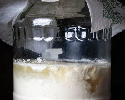 Kefir-Roggenbrot – ohne Hefe oder Sauerteig – mit Sojakefir