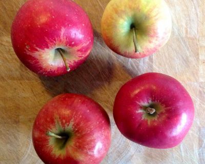 Apfelmüslikuchenauflauf mit Schmankerl – vegan