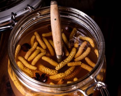 Haselkätzchen-Pickles – süß-sauer eingelegte Haselblüten