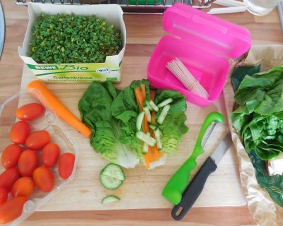 Vegane Salat-Wraps / Rohkost-Wraps