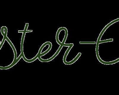 Spaghetti (Tofu)Bolognese