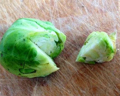 „Hasenhans, der weiß das wohl ‚Am allerbesten schmeckt der Rosenkohl‘