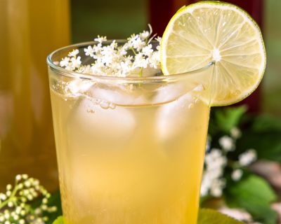 Holunder-Kombucha – zweitfermentierte, duftende Brause