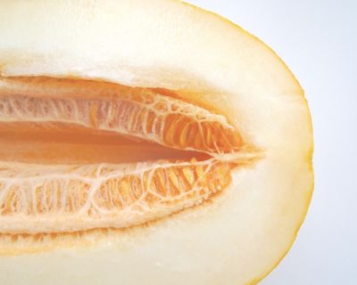 Sparsam und gesund: rohvegane Melonenkernen Milch