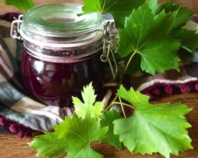 Wir holen den Herbst ins Glas … mit Weintraubengelee