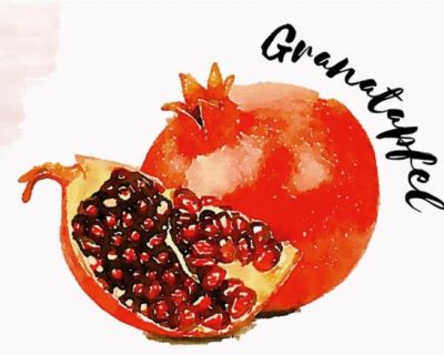Adventstürchen Nr. 24: Granatapfel-Aperitif mit Weißwein und Orangenzeste