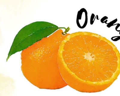 Adventstürchen Nr. 9: Ingwer-Orangen-Punsch