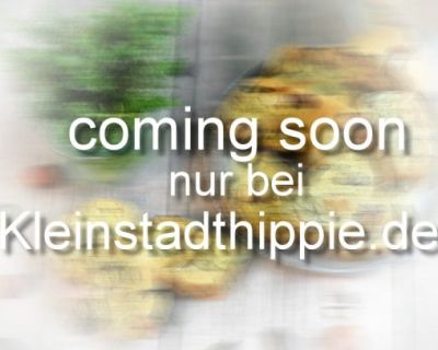 Salzige Kürbiskern-Cantuccini
