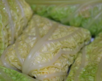Wirsing-Wrap