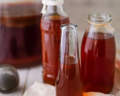 Kombucha selber machen