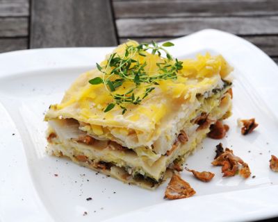 Kohl-Eierschwammerl-Lasagne / Wirsing-Pfifferlinge-Lasagne