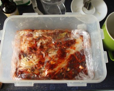 Warum mal nicht koreanisch? Traditionelles Kimchi selbstgemacht