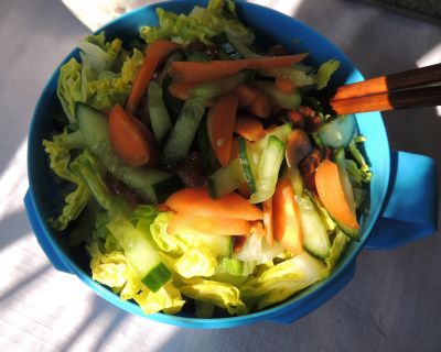 Donburi mit Gemüse 1. Versuch
