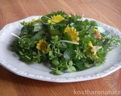Köstlicher, leichter Vorfrühlings-Wildkräutersalat