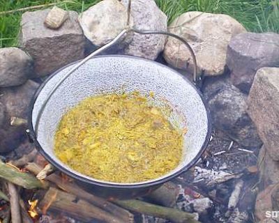 Kleine leckere Sonnen: Löwenzahn als Sirup und im Salatdressing