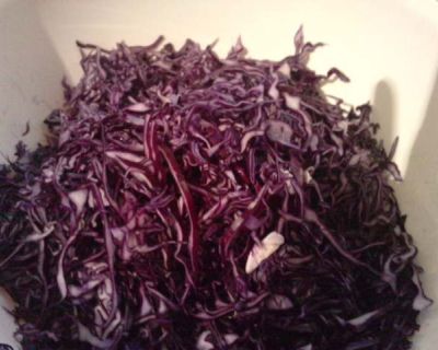 Blaukraut/Rotkohl - Rohkost