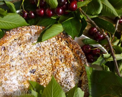 Liebster Lieblings-Kirschkuchen - süß am Sonntag