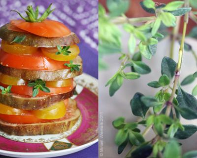 Tomaten-Feigen Türmchen mit Thymian