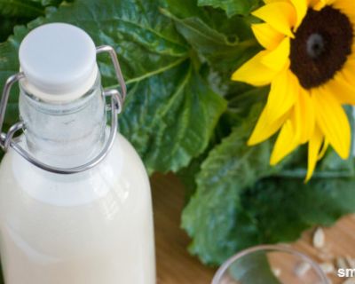 Regionale Milchalternative: Sonnenblumenmilch selber machen