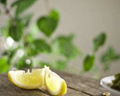 Zitronen-Minz-Pesto